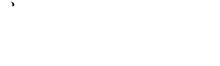 Sherry Wu Logo